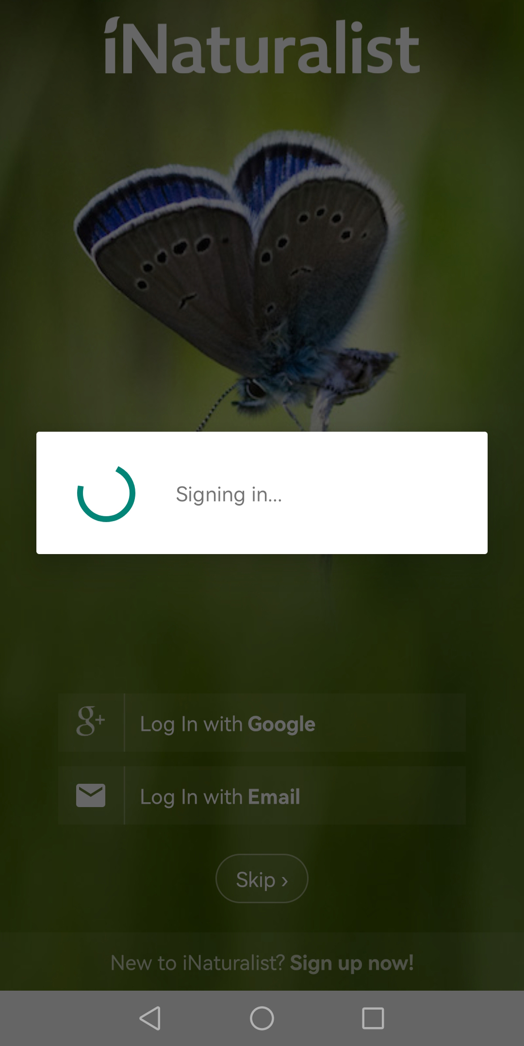ГорбенкоТех - проект нейросеть iNaturalist