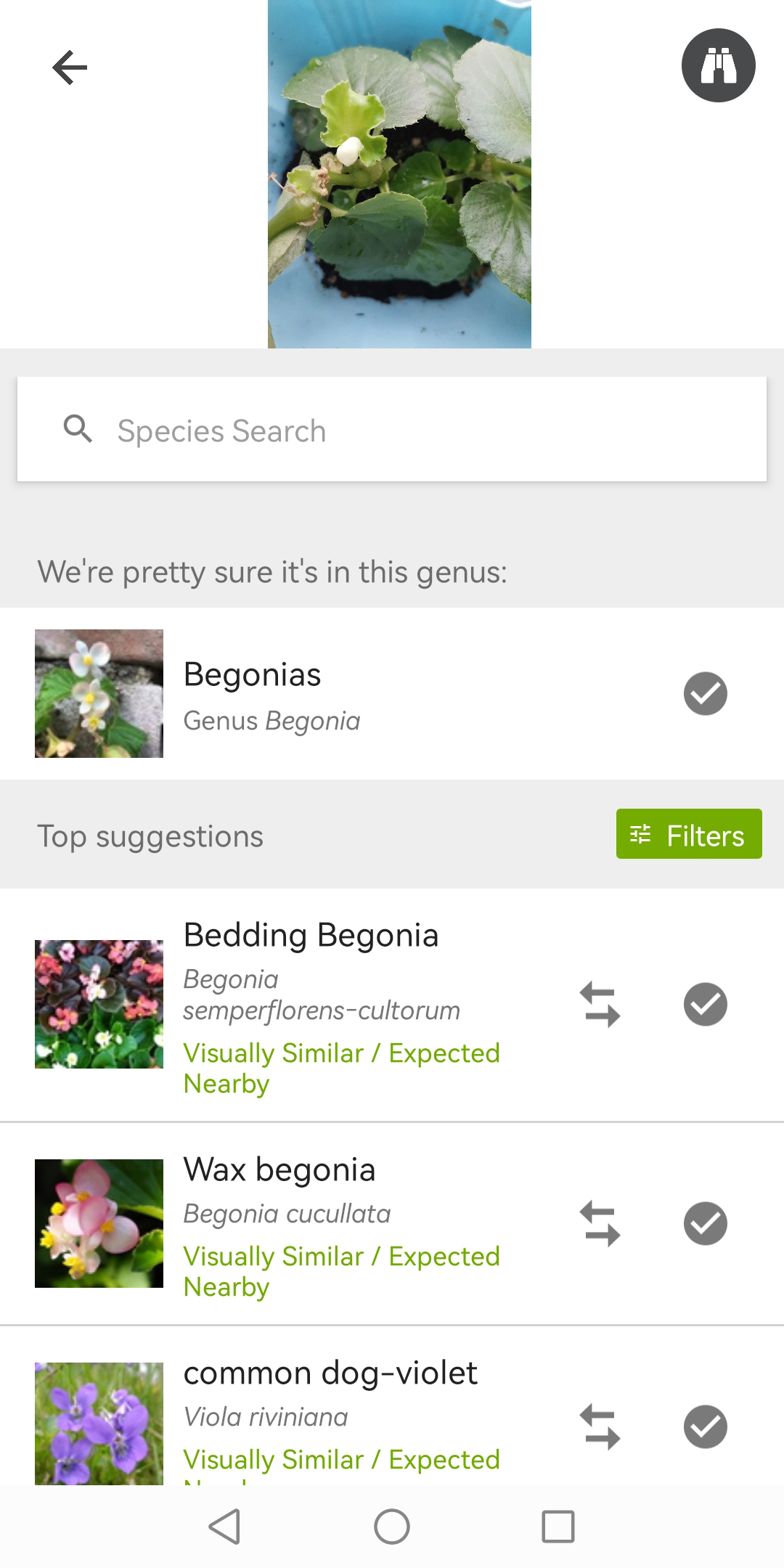 ГорбенкоТех - проект нейросеть iNaturalist